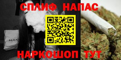 дмт Будённовск