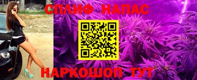 дмт Будённовск