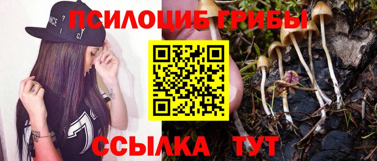 Галлюциногенные грибы GOLDEN TEACHER  Вход с VPN  Москва 